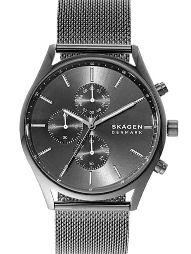 Steel Mesh Titanium Day Date Watch Skagen Melbye Titanium And Gray