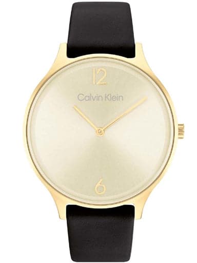 Ladies Calvin Klein 2H Mesh Watch 25200002