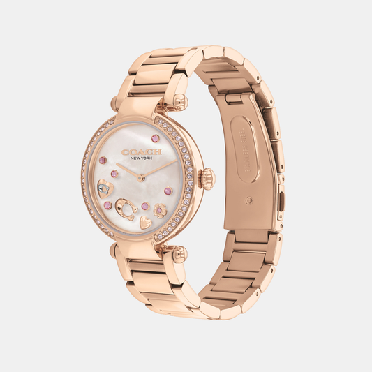 Coach 14504266 Watch For Women