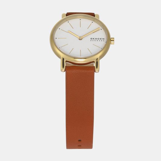 SKAGEN SKW3121 Watch for Women