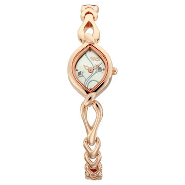 Titan NT2455WM01 Quartz Analog Silver Dial Women's Watch