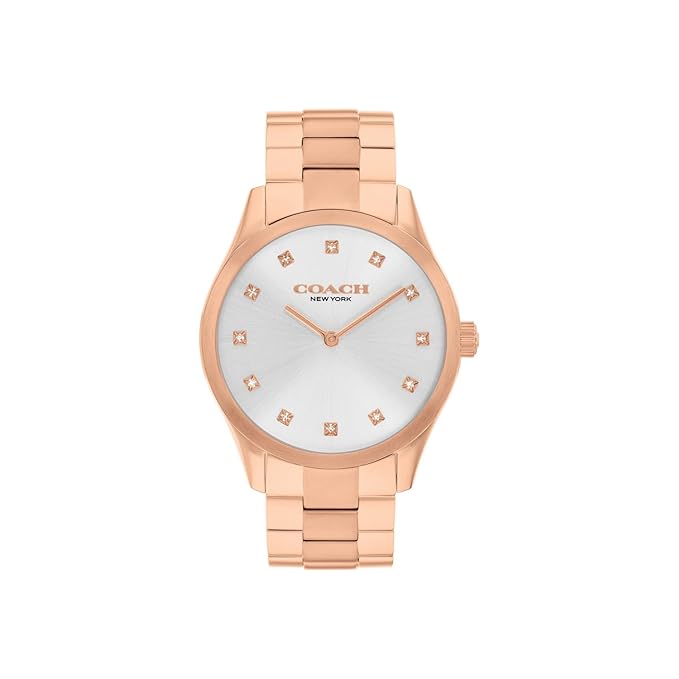 COACH Brooks Qtz Basic Silver Round Dial Women's Watch