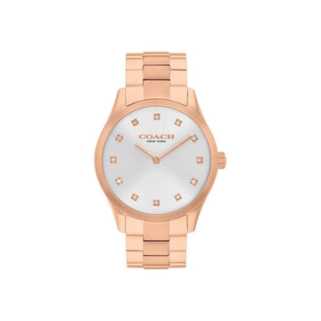 COACH Brooks Qtz Basic Silver Round Dial Women's Watch