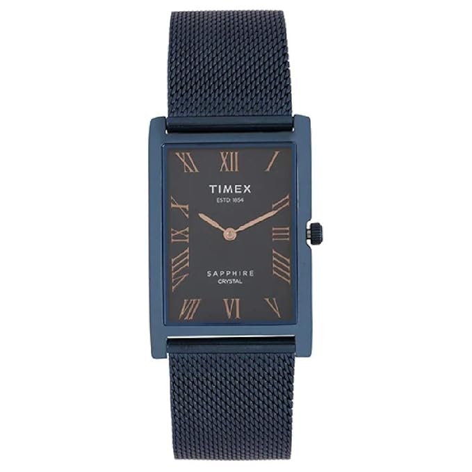 TIMEX Analog Blue Dial Men's Watch - TWEG17312