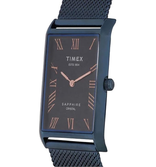 TIMEX Analog Blue Dial Men's Watch - TWEG17312