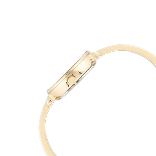 Anne Klein Quartz Analog Champagne Dial Two Toned Metal Strap Watch For Women