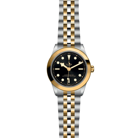 M79663-0001 BLACK BAY 39 S&G