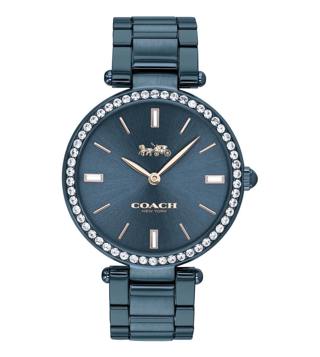 Coach Park 14503423 Blue Dial Watch for Women