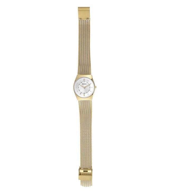 SKAGEN SKW1156SET Grenen Lille Watch for Women - Kamal Watch Company
