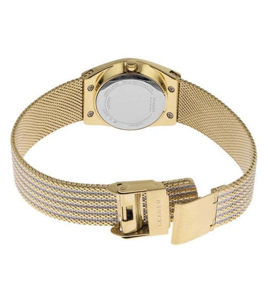 SKAGEN SKW1156SET Grenen Lille Watch for Women - Kamal Watch Company