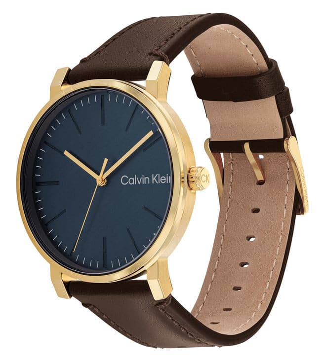 25200216 Calvin Klein 25200261 Slate Analog Watch For Men