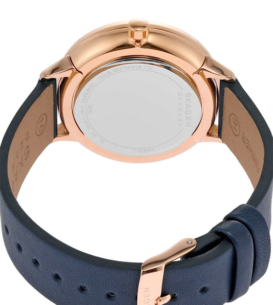 SKAGEN SKW3090 RIIS Watch for Women