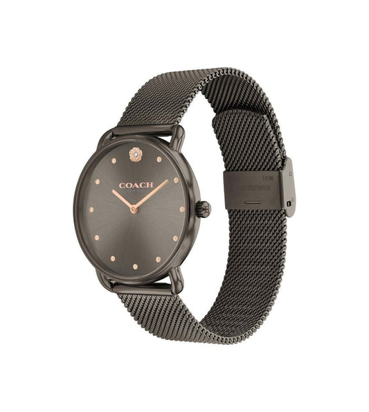 Coach CO14504210W Analog Watch for Women