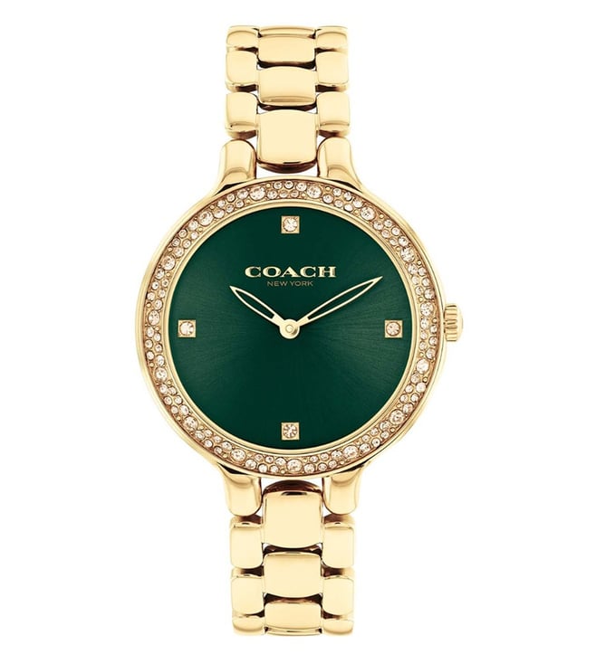 Coach CO14504251W Analog Watch for Women