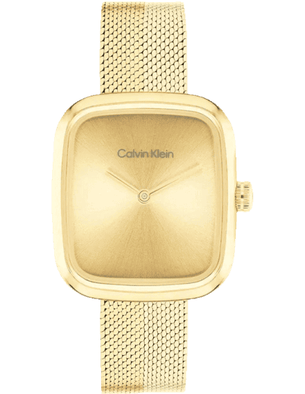 Calvin Klein 25100099 Watch for Women