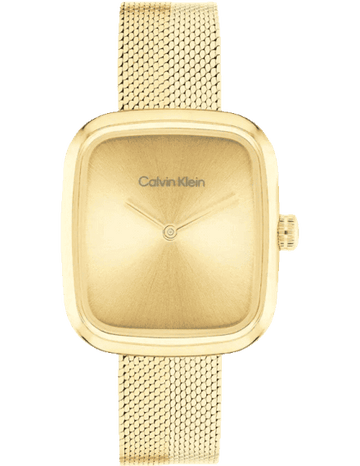 Calvin Klein 25100099 Watch for Women
