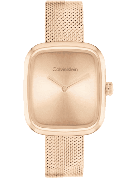 Calvin Klein 25100101 Watch for Women
