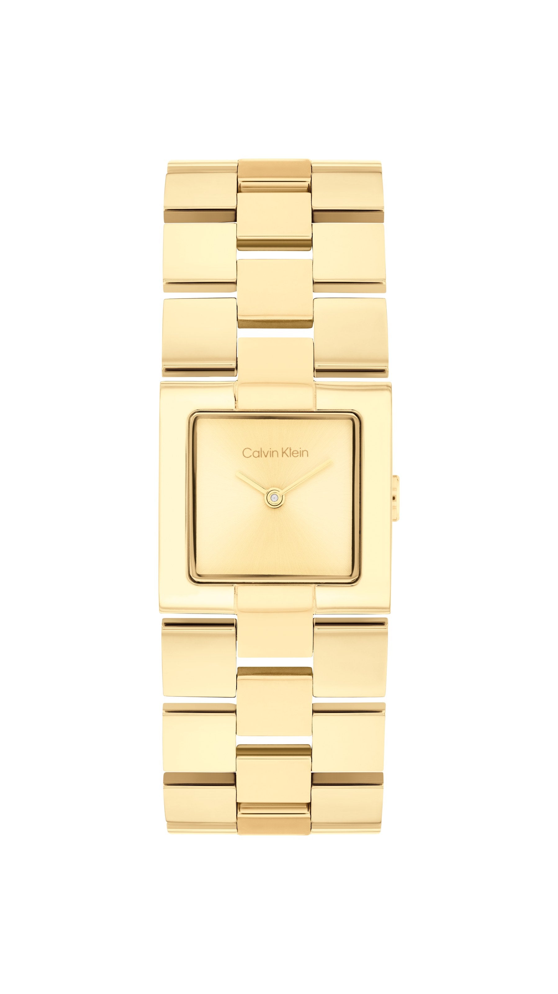 Calvin Klein CK Meridian 25100089 Watch for Women