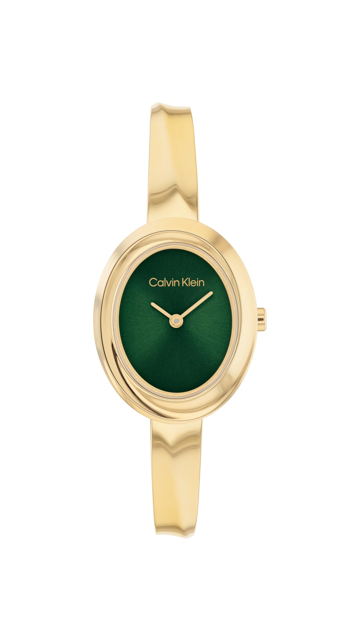 Calvin Klein Twisted Bezel 25100203 – front view