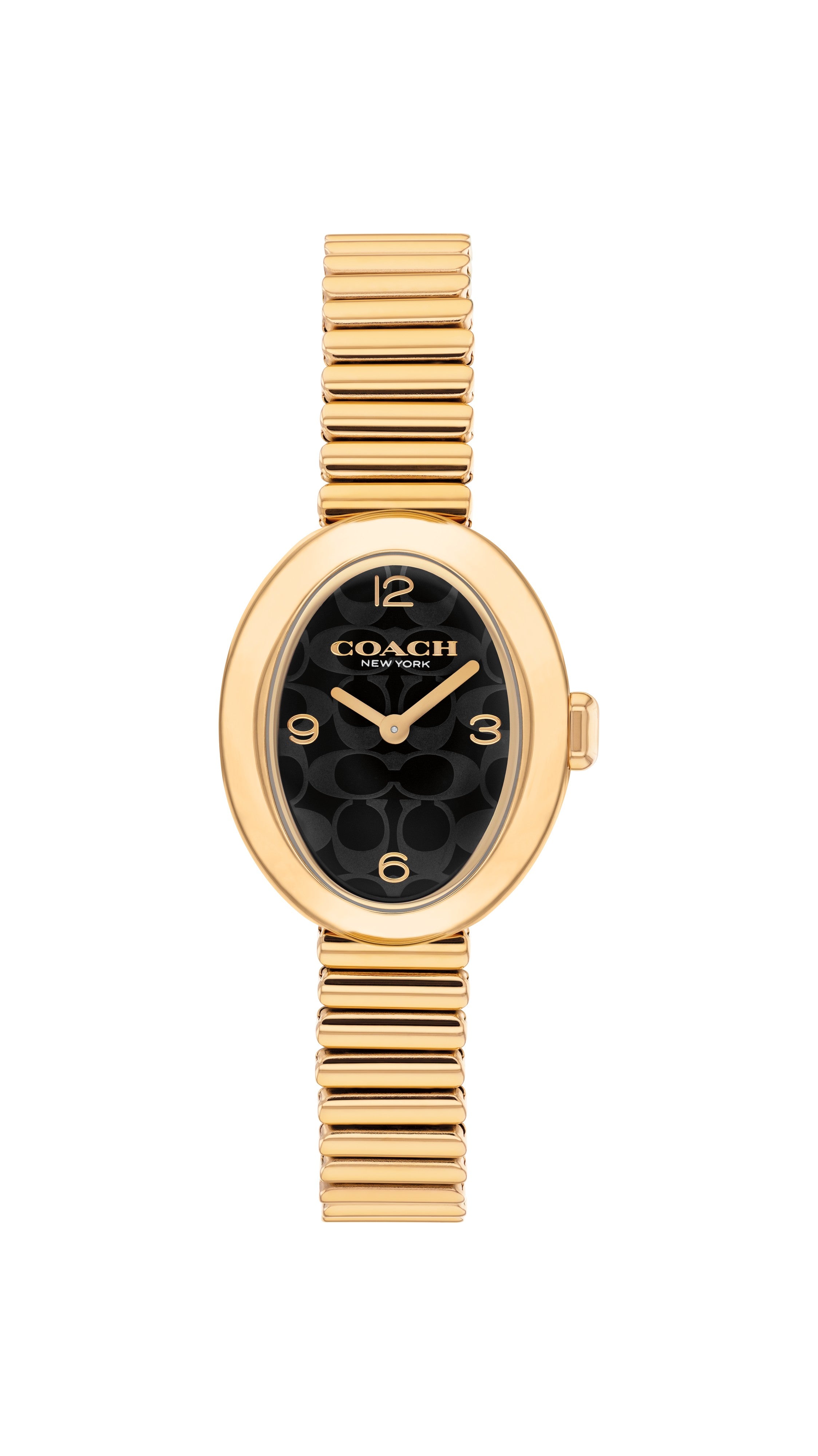 Coach Sammy 14504571 Watch for Women