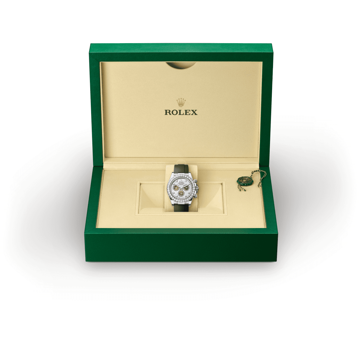 Rolex Day-Date 40 Back Profile