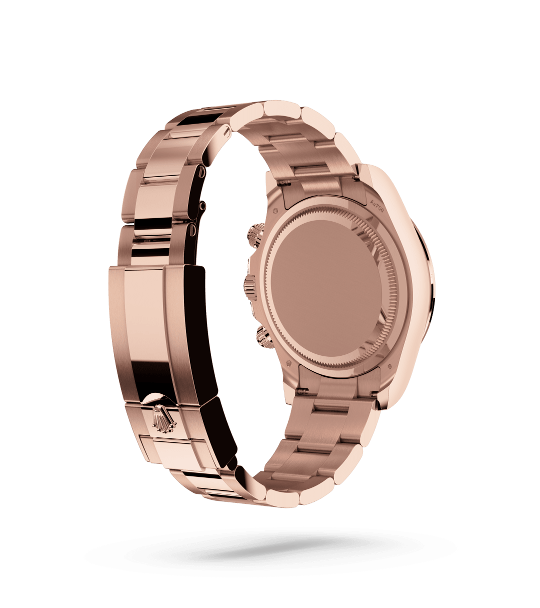 Rolex Day-Date 40 Back Profile
