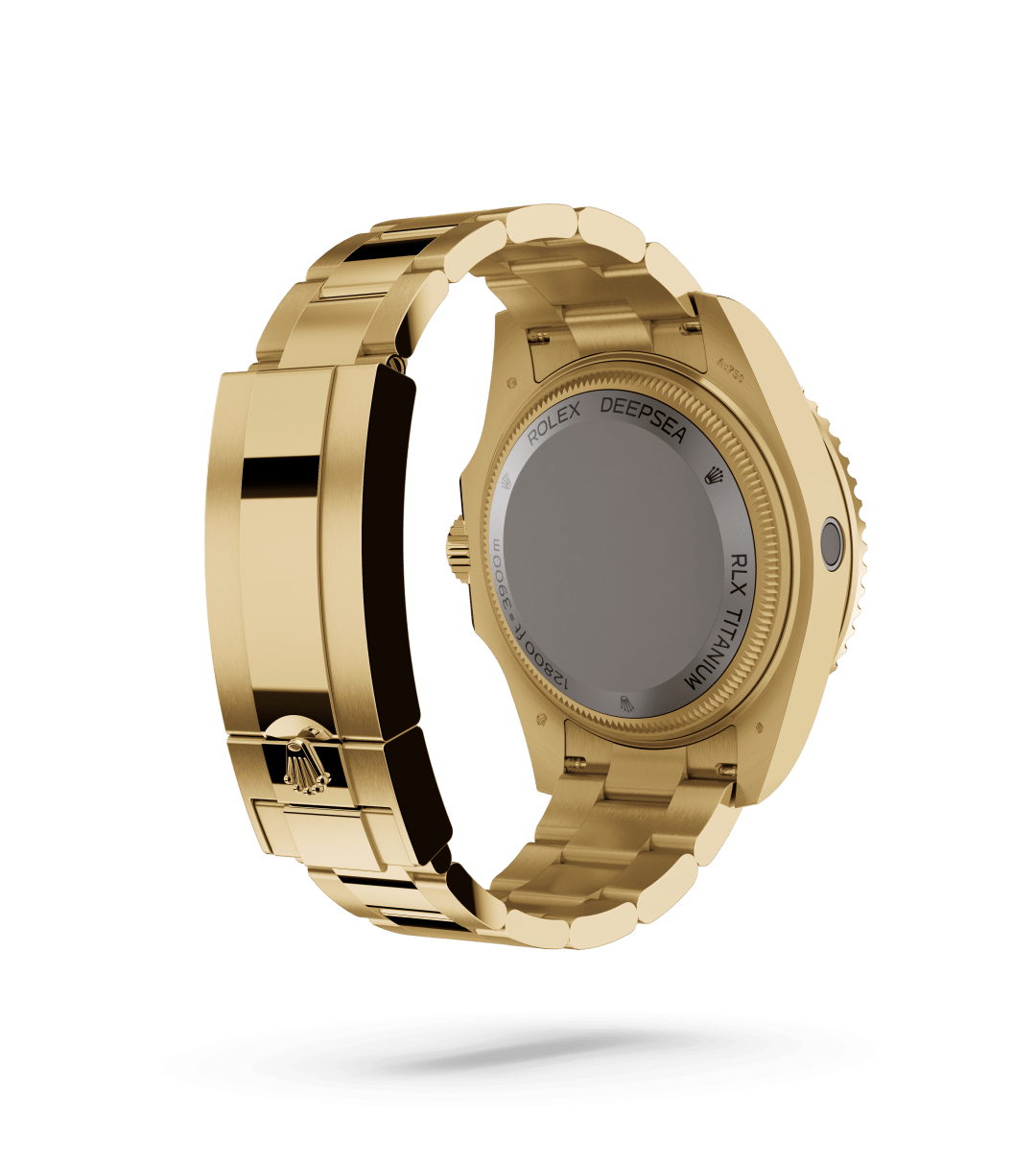 Rolex Day-Date 40 Back Profile