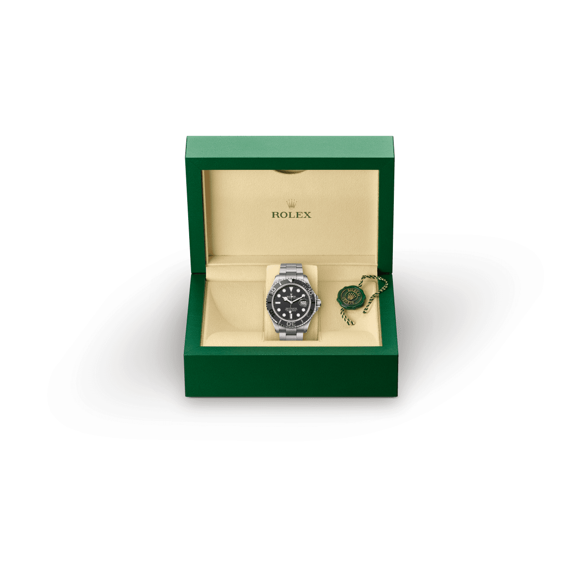 Rolex Day-Date 40 Back Profile