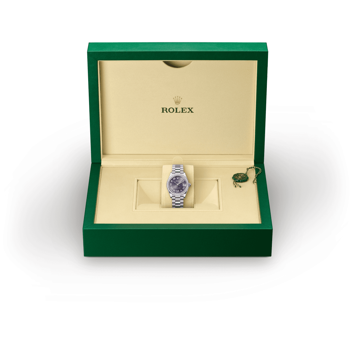 Rolex Day-Date 40 Back Profile