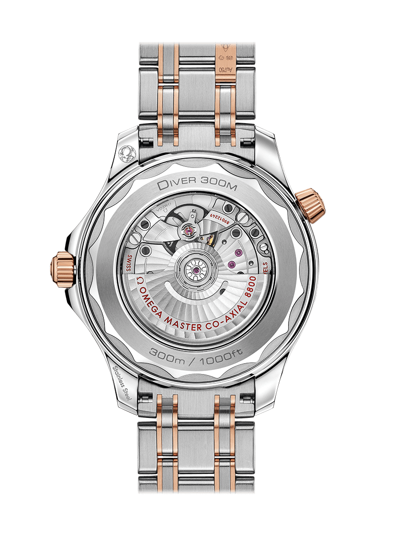 DIVER 300M CO‑AXIAL MASTER CHRONOMETER 42 MM