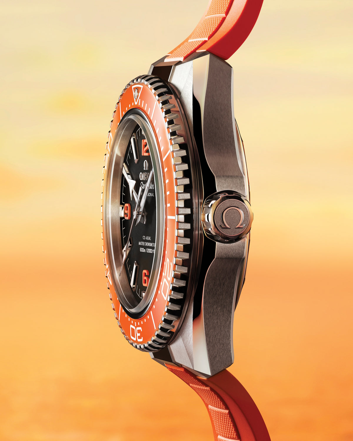 OMEGA Seamaster Planet Ocean 600M 217.32.42.21.01.004, 42 mm steel with black dial – official gallery image 6
