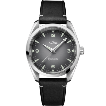 OMEGA Seamaster Railmaster 235.12.38.20.06.001, 38 mm steel with grey dial – front view