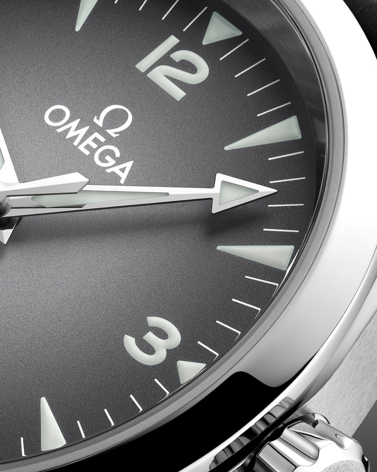 OMEGA Seamaster Railmaster 235.12.38.20.06.001, 38 mm steel with grey dial – official gallery image 3