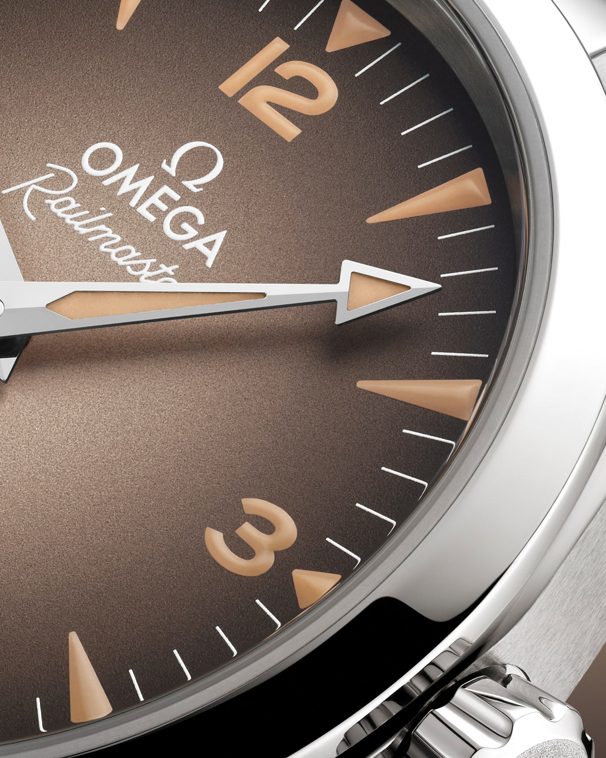OMEGA Seamaster Railmaster Small Seconds 235.10.38.20.13.001, 38 mm steel with brown dial – official gallery image 3