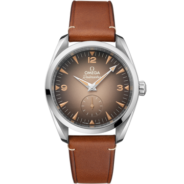 OMEGA Seamaster Railmaster Small Seconds 235.12.38.20.13.001, 38 mm steel with brown dial – front view