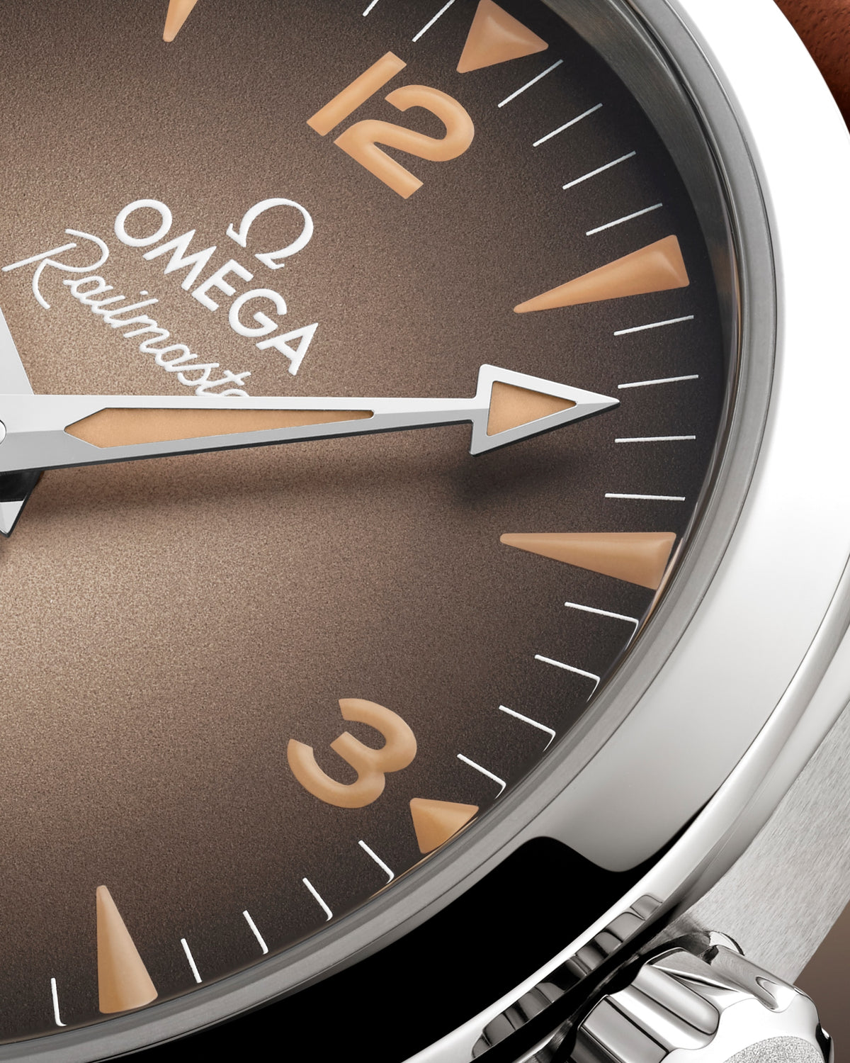 OMEGA Seamaster Railmaster Small Seconds 235.12.38.20.13.001, 38 mm steel with brown dial – official gallery image 5