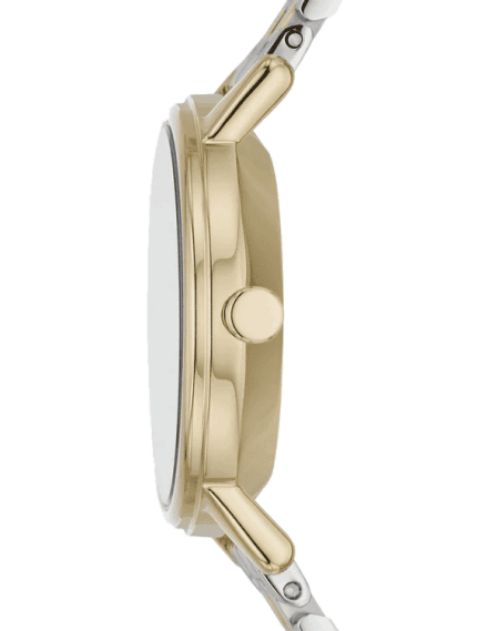SKAGEN SKW3122 Watch for Women