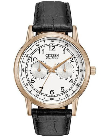 CITIZEN ECO-DRIVE MULTI FUNCTION DAY & DATE AO9003-16A - Kamal Watch Company