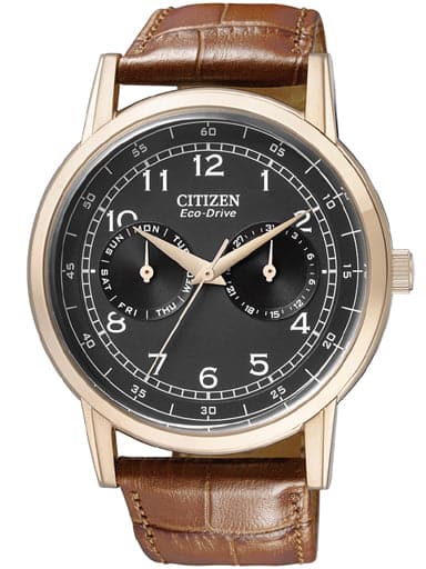 CITIZEN ECO-DRIVE MULTI FUNCTION DAY & DATE AO9003-08E - Kamal Watch Company