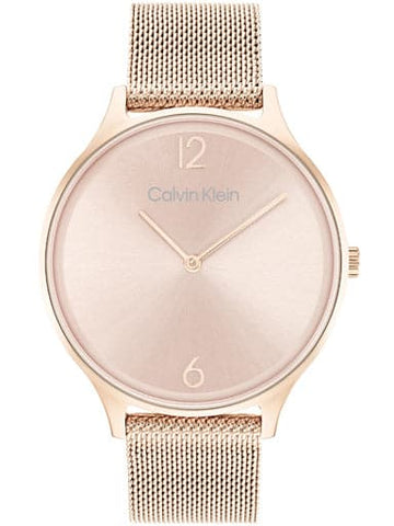 Calvin Klein Timeless 2H watch 25200002 - Kamal Watch Company