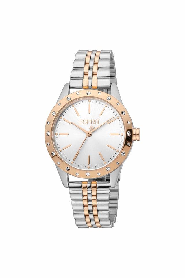 Esprit Womens Silver Dial Stainless Steel Analog Watch - ES1L302M0105 - Kamal Watch Company